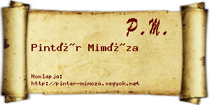 Pintér Mimóza névjegykártya